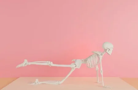 How Many Bones Does a Human Have? Adult vs. Baby Bone Counts Explained